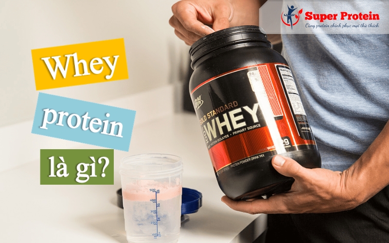 Whey Protein là gì?