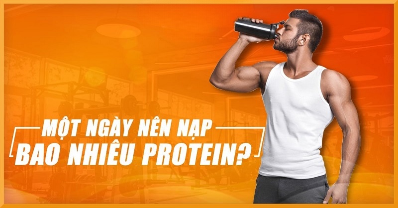 Hàm lượng protein cần thiết cho cơ thể là bao nhiêu?