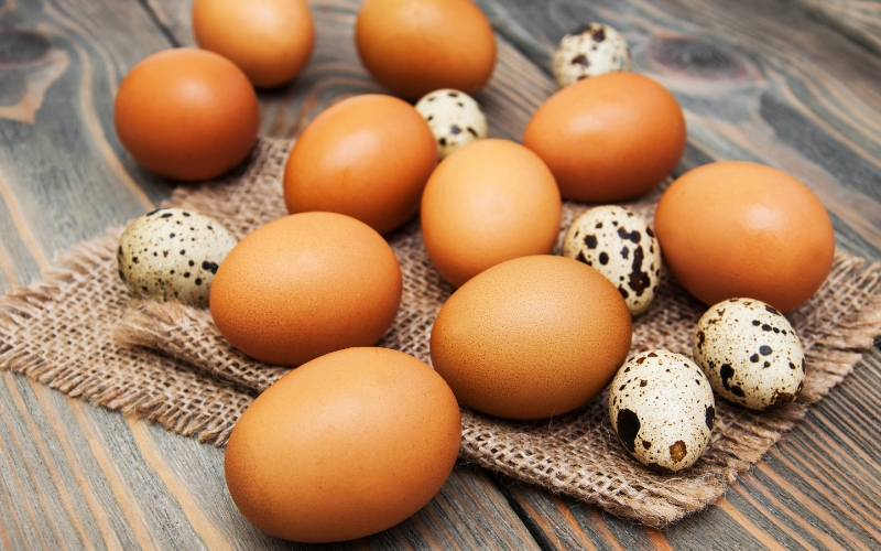 Các loại trứng cung cấp nhiều protein cho cơ thể