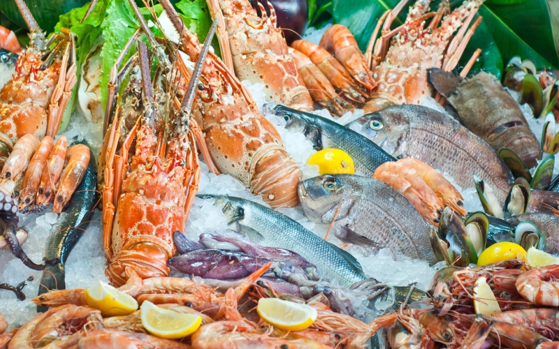 Hải sản là nguồn cung cấp protein số lượng lớn cho cơ thể con người