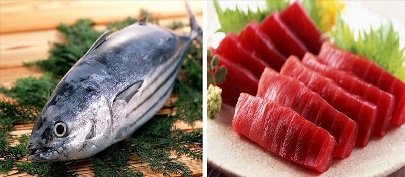 Cá ngừ cung cấp nhiều chất dinh dưỡng dành cho người gầy