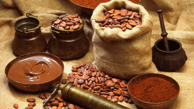 Cacao là thực phẩm tăng cân tự nhiên