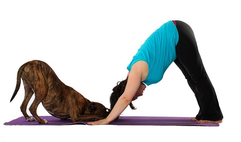 tư thế yoga chó cúi mặt